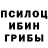 Галлюциногенные грибы прущие грибы BLACK_ J_BOY