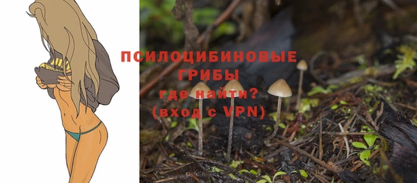 стафф Алексин