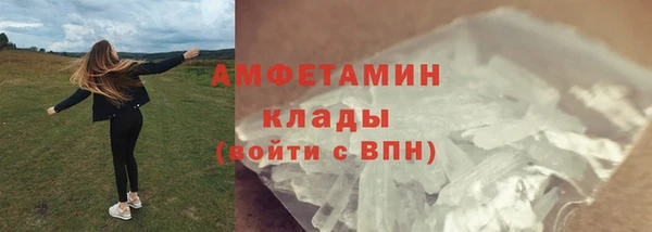 шишки Алзамай