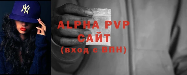 стафф Алексин