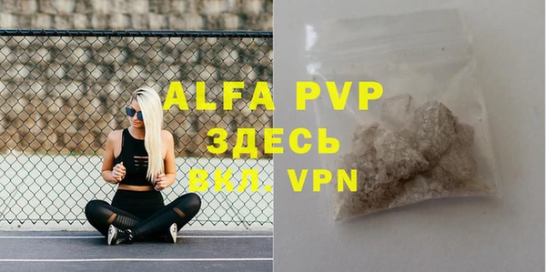 стафф Алексин