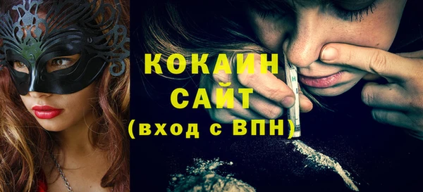 стафф Алексин
