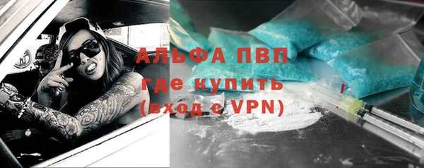 стафф Алексин