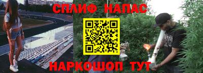гидра Гай