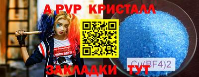 гидра Гай