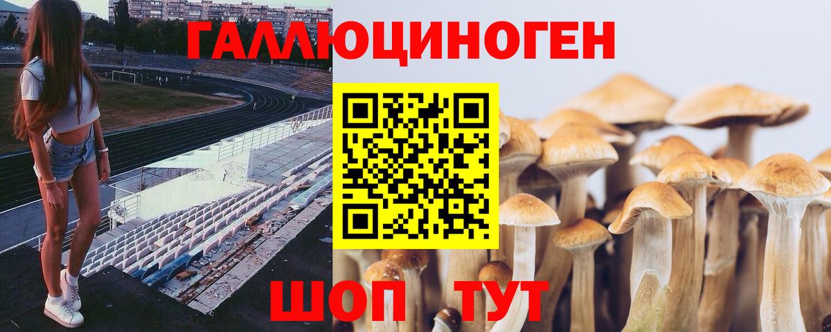 Балаково  Галлюциногенные грибы Magic Shrooms  Вход с VPN 