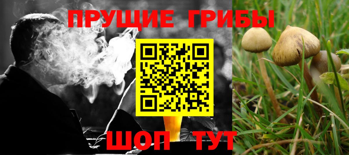 Галлюциногенные грибы мицелий Балаково